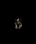 animations tirée de diablo 2