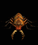 animations tirée de diablo 2