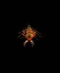 animations tirée de diablo 2