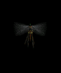 animations tirée de diablo 2