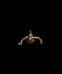 animations tirée de diablo 2