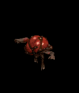 animations tirée de diablo 2