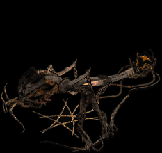 animations tirée de diablo 2