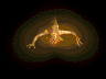 animations tirée de diablo 2