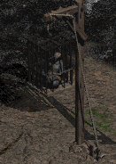 animations tirée de diablo 2