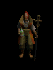 animations tirée de diablo 2
