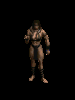 animations tirée de diablo 2