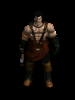animations tirée de diablo 2